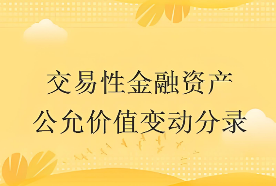 其他非流动金融资产公允价值变动