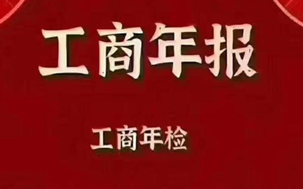 海南个体工商户年报报送流程